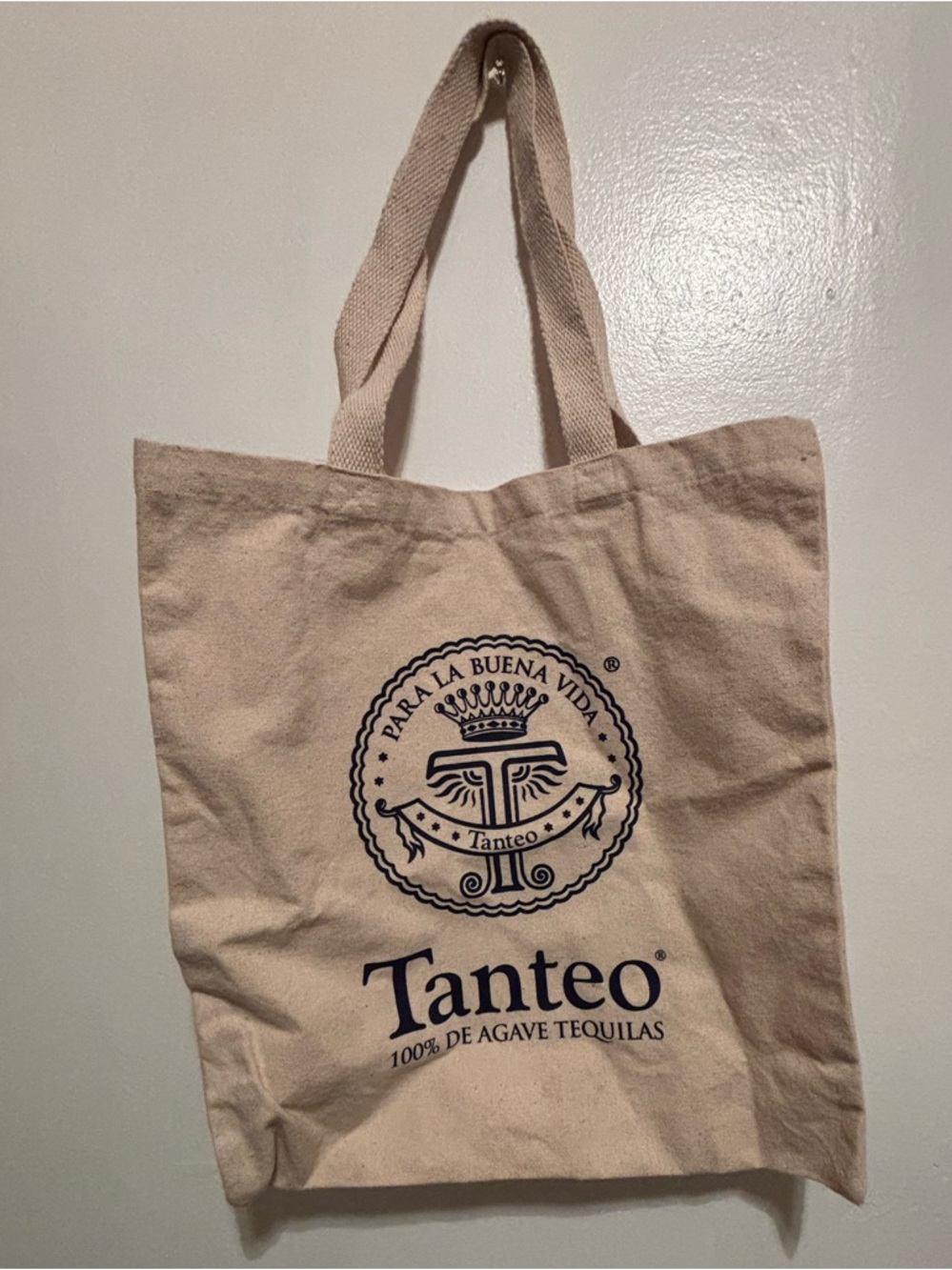 Natural Canvas Tote Bag - Beige